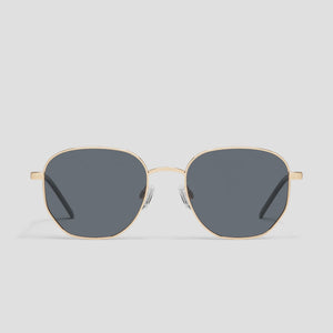 Big Time -Gold Frame / Smoke Polarised Lens