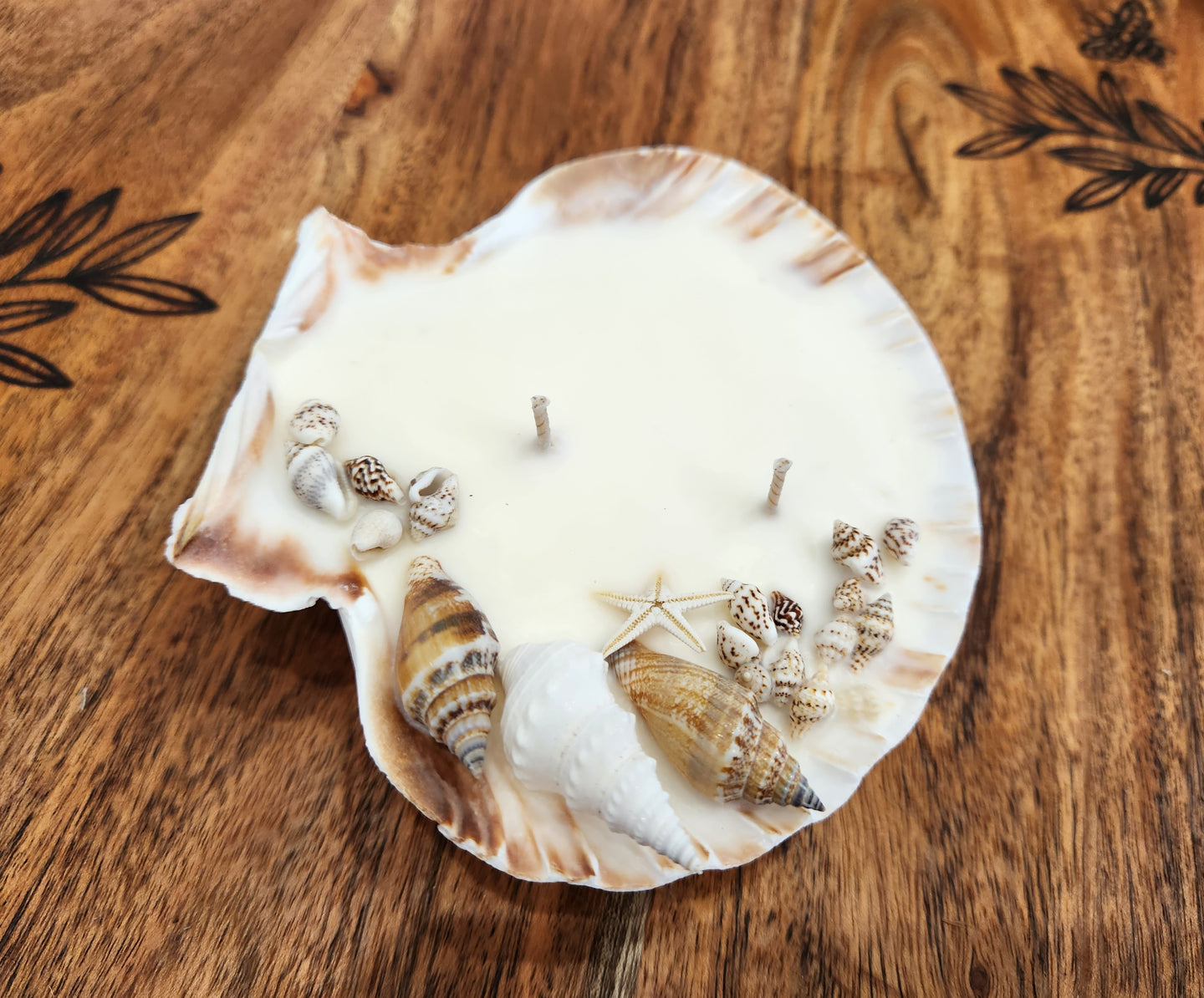 Hunter Gatherer / Seashell Soy Wax Candle / Scallop XL /Coconut & Vanilla